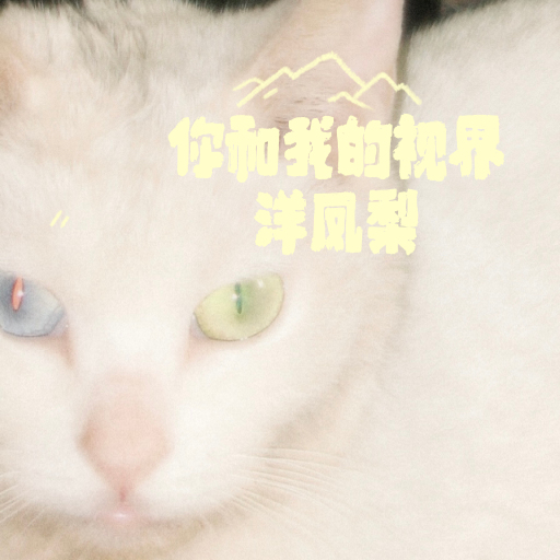 你和我的视界